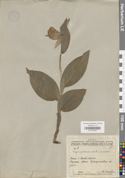 LE 01032344