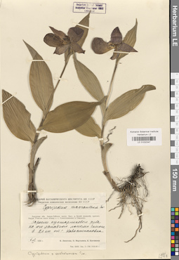 LE 01032347