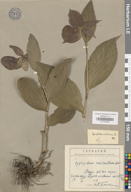 LE 01032352