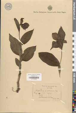 LE 01032355