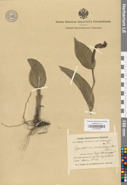 LE 01032357