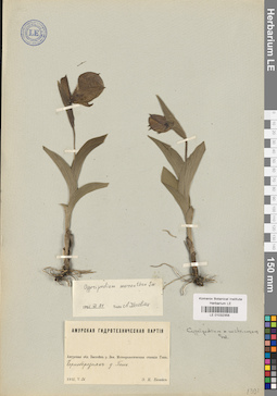 LE 01032358