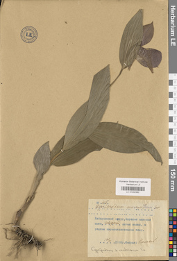 LE 01032362