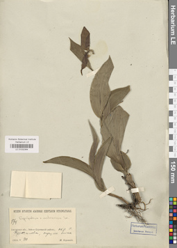 LE 01032364