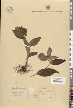 LE 01032369