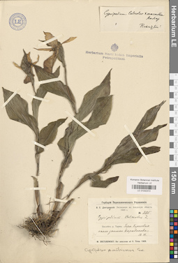 LE 01032372