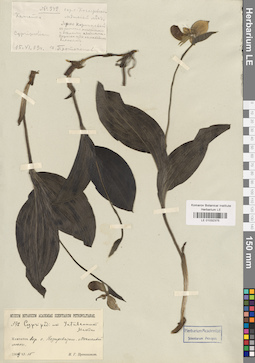 LE 01032375