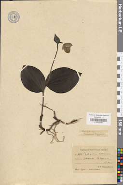 LE 01032383