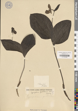 LE 01032389