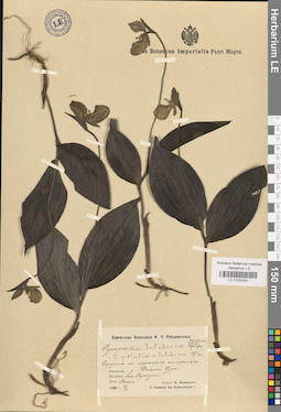 LE 01032391