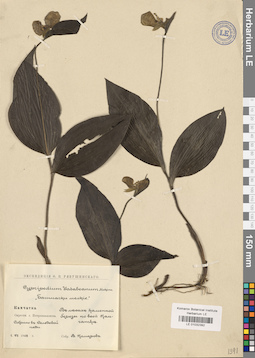 LE 01032392