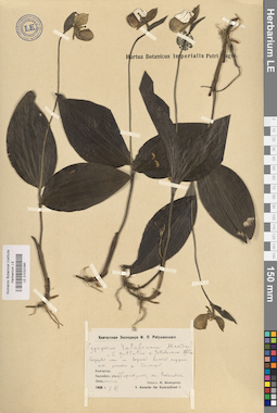 LE 01032395
