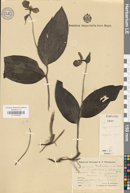 LE 01032408
