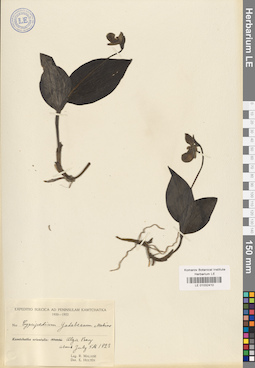 LE 01032410