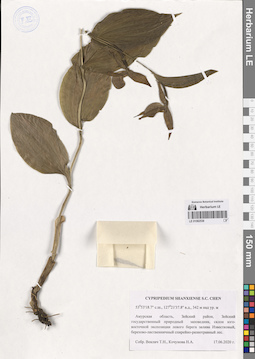 LE 01082538