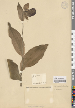 LE 01251219