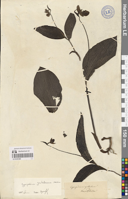 LE 01251269