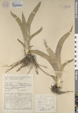 LE 01241828