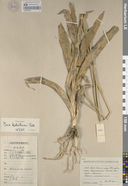 LE 01241857