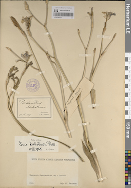 LE 01241871