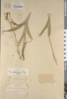 LE 01241899