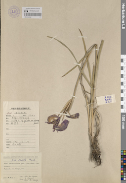 LE 01241906
