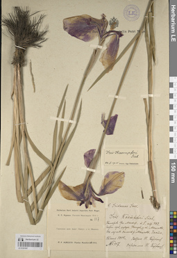 LE 01241907