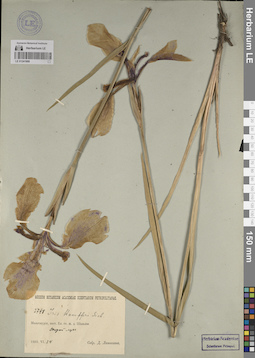 LE 01241908