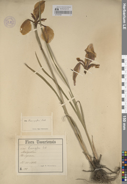 LE 01241921