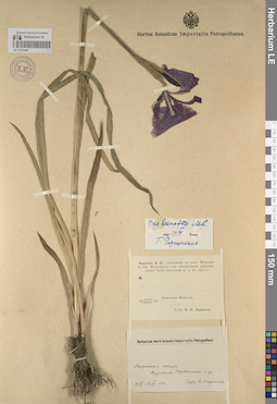 LE 01241922