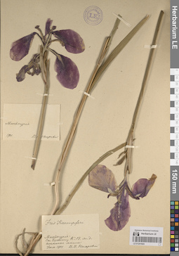 LE 01241924