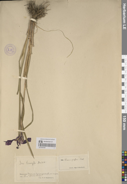 LE 01241925