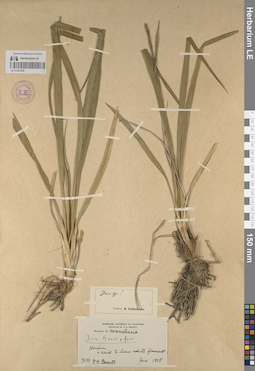 LE 01241926