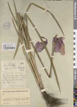 LE 01241927