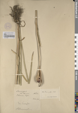 LE 01241928
