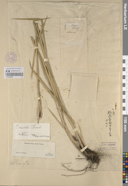 LE 01241932