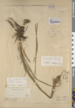 LE 01241933