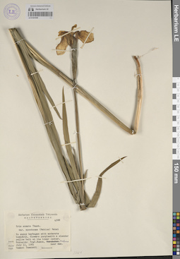 LE 01241939