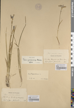 LE 01241943
