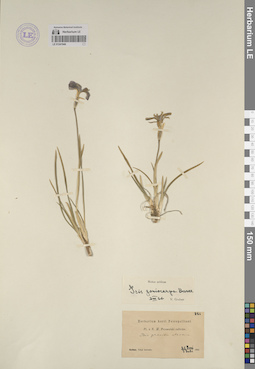 LE 01241948