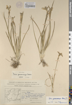 LE 01241951