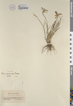 LE 01241952