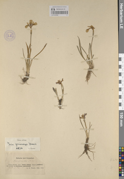 LE 01241954