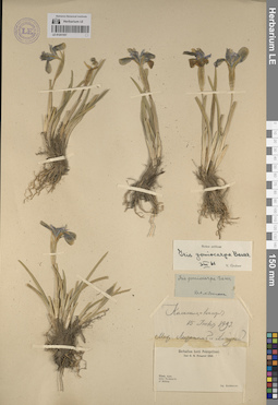 LE 01241957