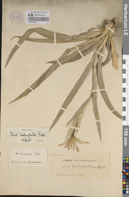 LE 01241973