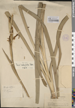 LE 01241974