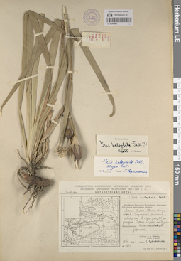 LE 01241980