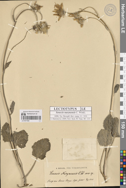 LE 01071402