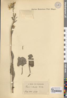 LE 01071404