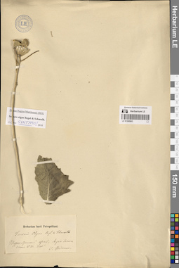 LE 01260943